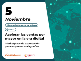 Acelerar las ventas por mayor en la era digital. Marketplace de exportación para empresas malagueñas