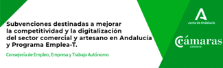 Webinar sobre las Ayudas para la mejora de la competitividad y la digitalización del sector comercial y artesano en Andalucía